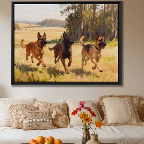 Happy belgian malinois cane - belgian,