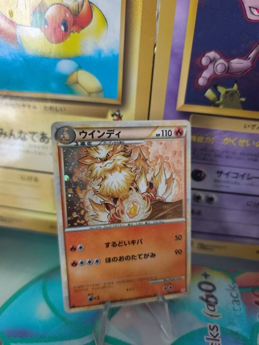 Carta pokemon card holo - carta,