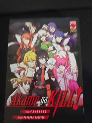 Akame kill 1 - akame, variant