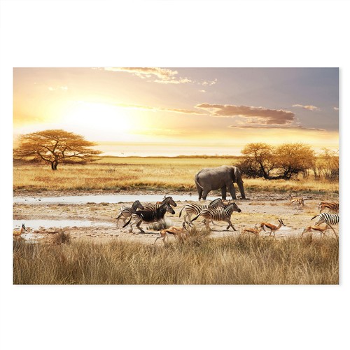 Postereck 1247 poster - , tela