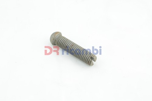 Vite regolazione bilanciere - vite,
