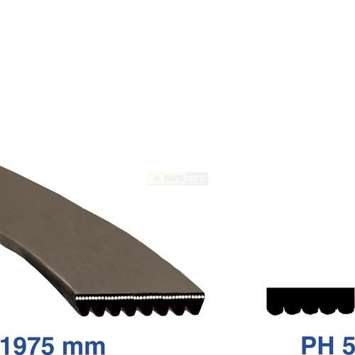 Cinghia trapezoidale cinghia