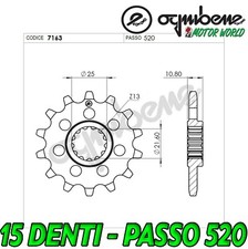 PIGNONE IN ACCIAIO OGNIBENE 15