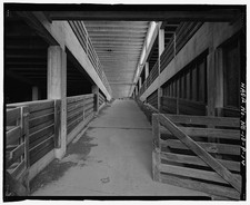 South Omaha Union Stock