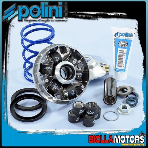 241 749 variatore polini - variatore,