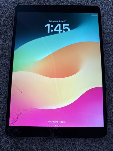 Funzionante apple ipad pro - apple,
