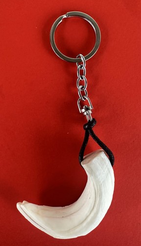 Portachiavi con dente di - portachiavi,