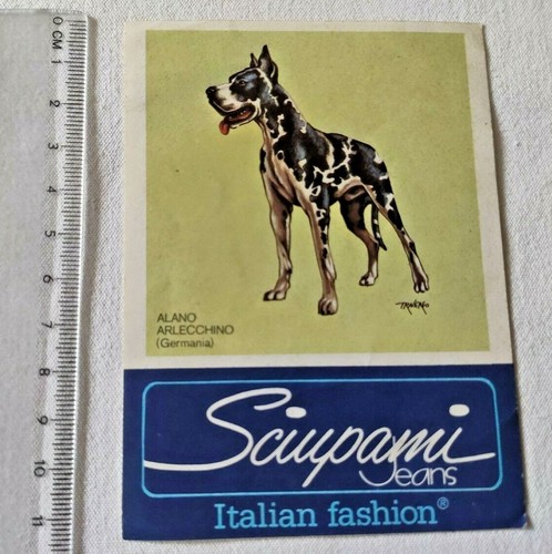 Sciupami jeans alano - sciupami,