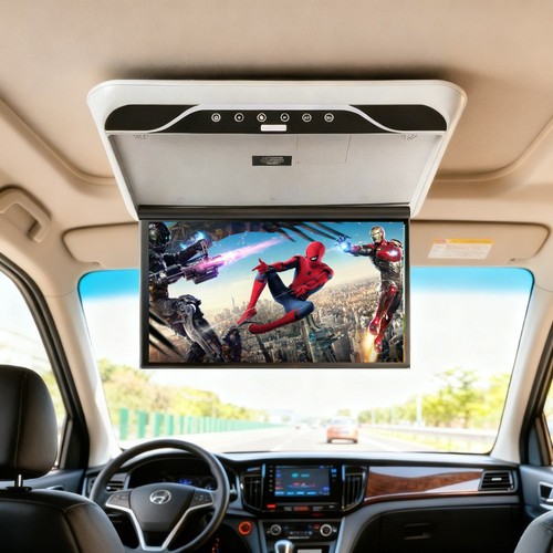 Monitor tetto auto - , 19,5