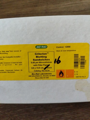 Panini blotting criterio - panini,