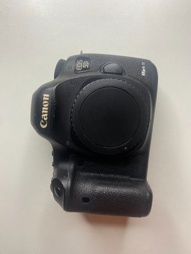 Works rear lcd out canon - works,