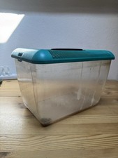 Acquario Terrario Con Crepa