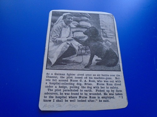 Nurse russ war dog hero - russ, south