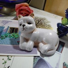 Ar 89) Gatto Gattino in