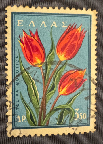 Francobollo grecia tulipani - francobollo,