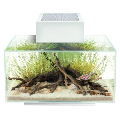 Acquario fluval edge - acquario,