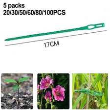 Soluzione Fittante Efficiente