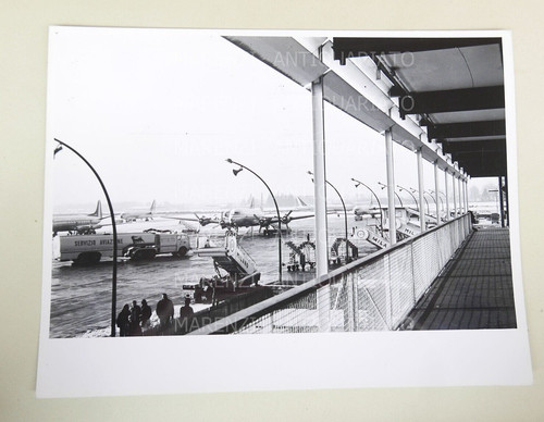 Alitalia foto fotografia - alitalia,