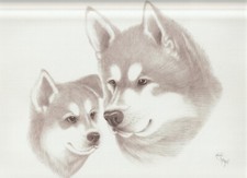 STAMPA glicée FIRMATA ANGEL