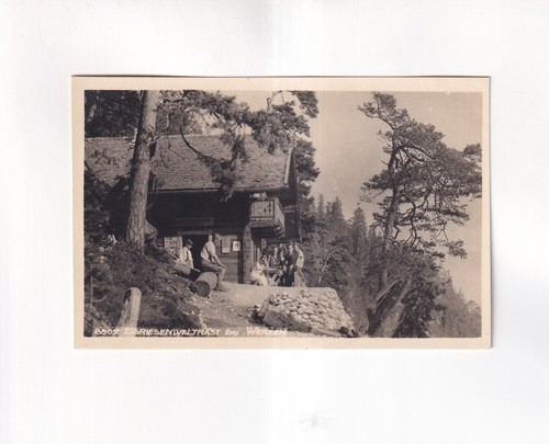 F965 cartolina eisriesenwelt - cartolina,