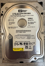 WD800JD Western Digital 80 GB
