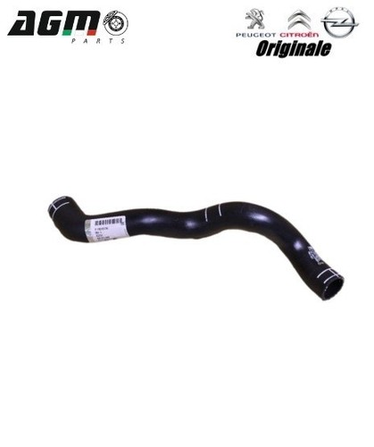Tubo flessibile radiatore - flessibile,