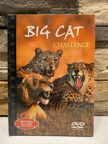 Big cat challenge - cat,