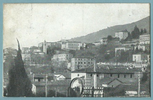 Erba incino cartolina - (co),
