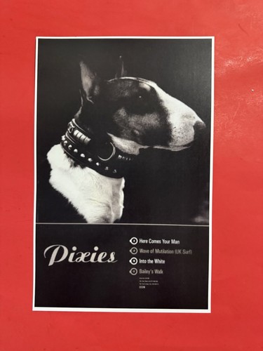 The pixies here comes - the, man