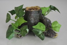 Piccole piante radice di - piante,