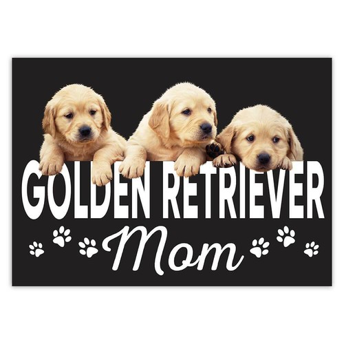 Adesivo regalo golden - adesivo, regalo: