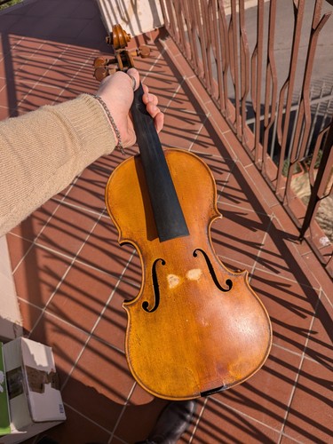 Violino 4 - violino, 4/4
