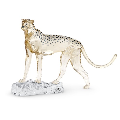 Swarovski scs 2023 edizione - scs,