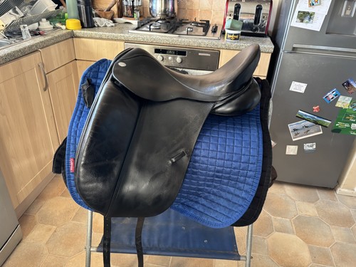 Sella dressage 5 - sella,