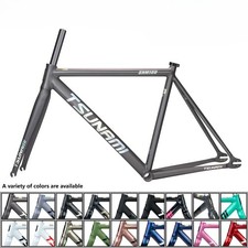 Telaio Bici Ingranaggio Fisso