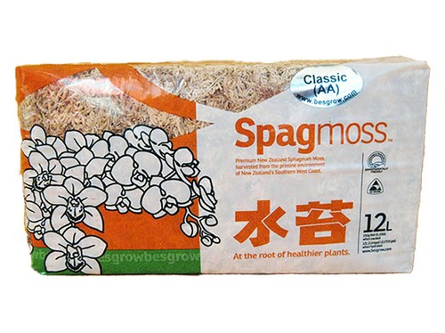 Sfagno neozelandese fibre - neozelandese,