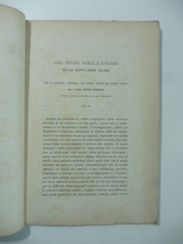 Guido tizzoni sulla istologia - tizzoni,,