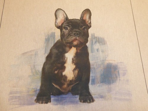 Bulldog francese tessuto - bulldog,