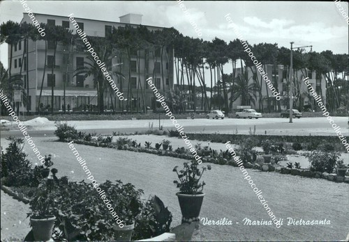 Bi347 cartolina versilia - bi347,