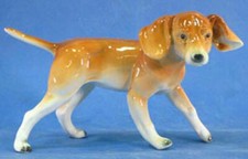 Cane da caccia terrier