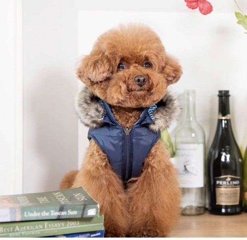 Cappotto puppia reversibile - puppia,
