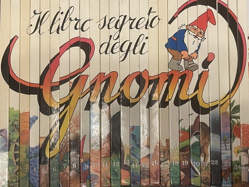 Libro segreto degli gnomi - libro,