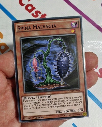 Spina malvagia oh - spina,