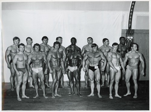 Bodybuilder maschile - , mr