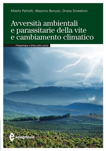 Libri alberto palliotti - alberto, /