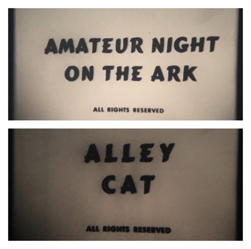Amateur night the - “amateur,