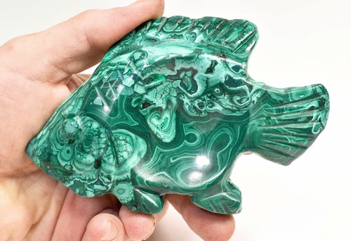 Ciotola per pesci malachite - pesci, in