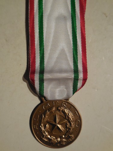 Medaglia merito cri - al,