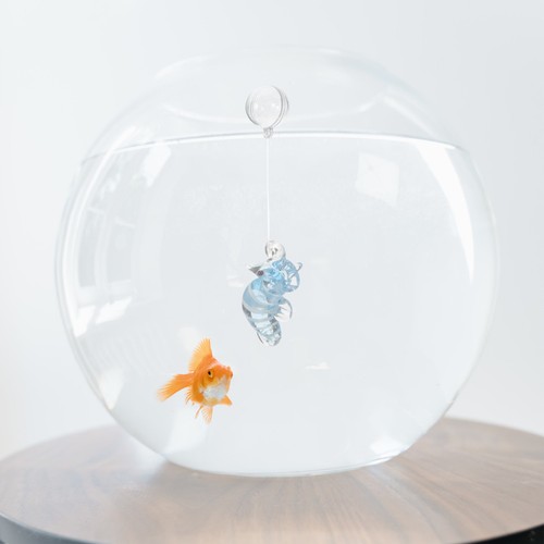 Decorazione acquario - decorazione,