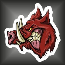 adesivo STICKER  CINGHIALE